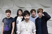Foals