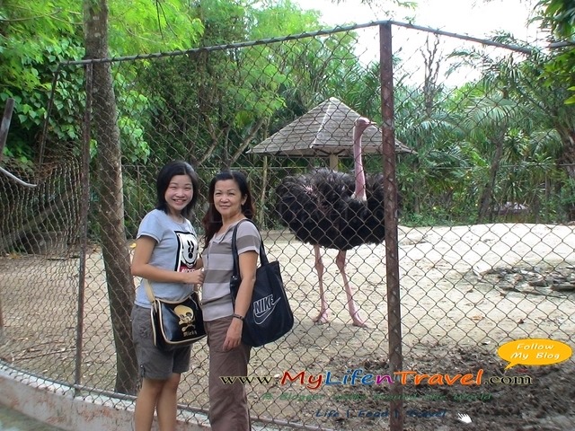 Thailand Phuket Zoo 04