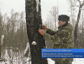 Маршрутный учет животных