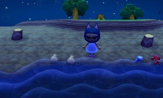 animal crossing new leaf beetle catch guide 04