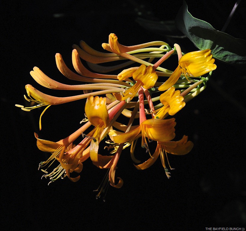 [DSC_0025-1%255B5%255D.jpg]