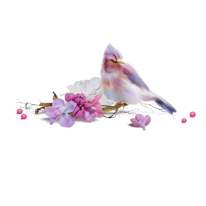 0_9ec3d_41e53246_XL%255B1%255D.png