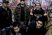 Zebrahead