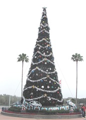 Disney trip Epcot huge Christmas tree
