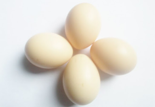 Putih Telur Obat Untuk Hipertensi