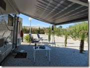 IMG_0564 IMG_0564
