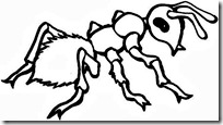 hormigas-2