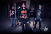 Allegaeon