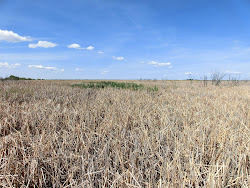 2013-06-17 Hecla Island - 082