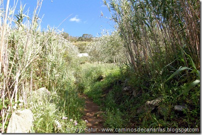 5499 La Laguna-Vueltas Acero-Firgas 5499 La Laguna-Vueltas Acero-Firgas