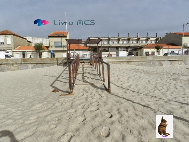 [O%2520desenvolvimento%2520das%2520Ruas%2520de%2520Espinho003Gazeta%2520de%2520Espinho%255B2%255D.jpg]