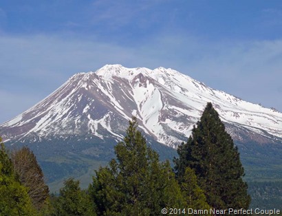 Mount Shasta1