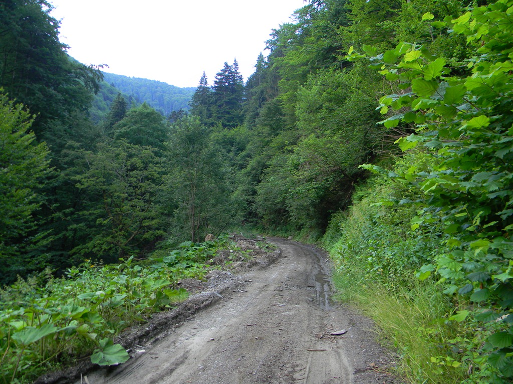 [DSCN25253.jpg]