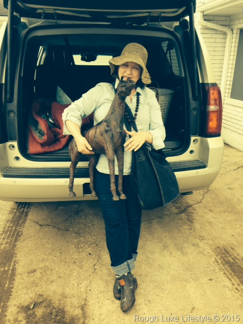 [image1%255B1%255D%255B2%255D.png]