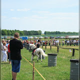 Tonnenreiten Kleinpferde