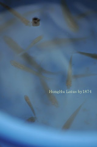 [HW_415%255B3%255D.jpg]