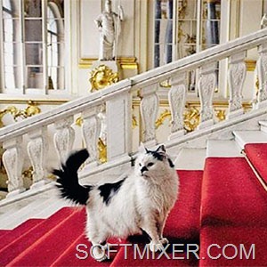 [9f70844bbcc955b7346b4255a47cac95%255B8%255D.jpg]