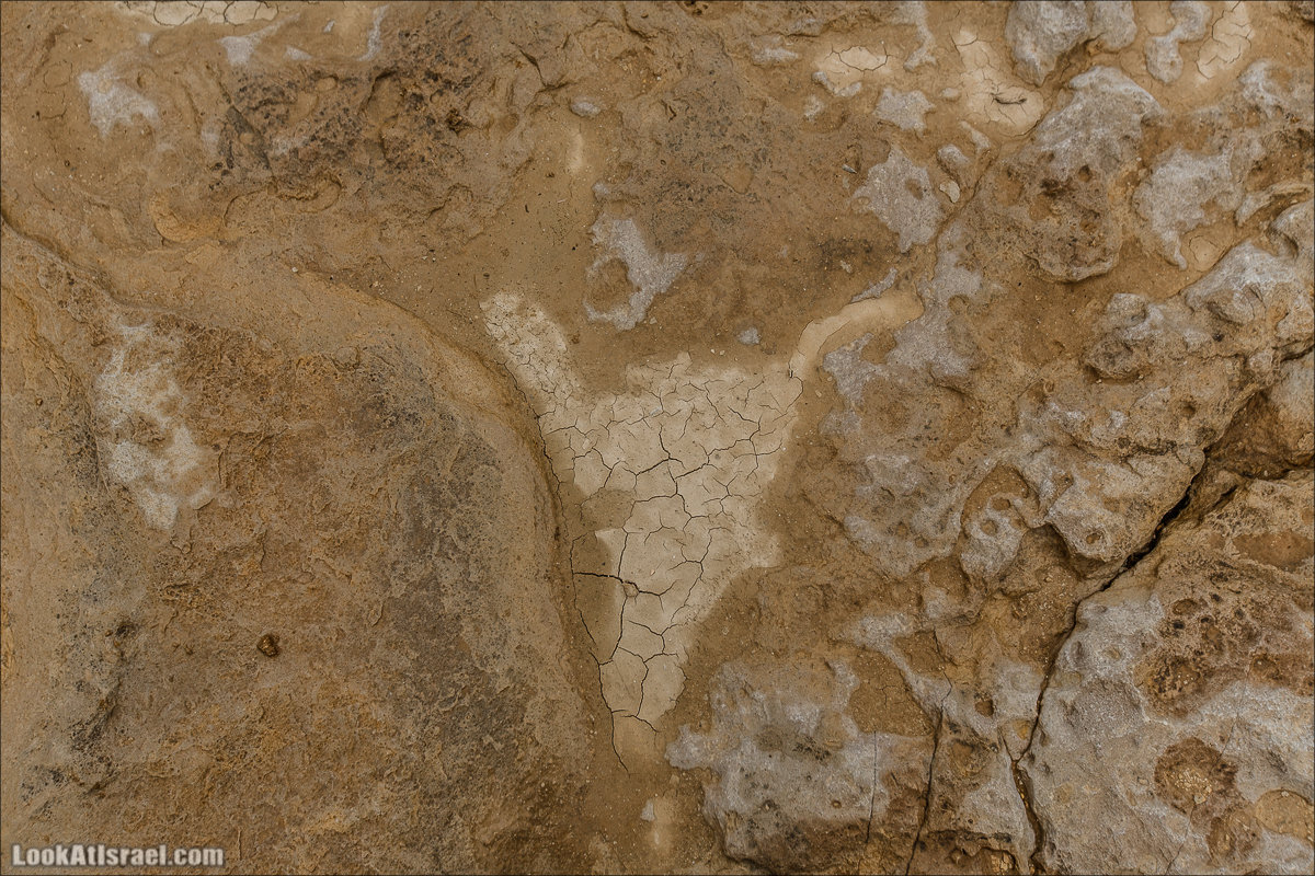 Ручей Акев и источник Эйн Акев в пустыне Негев. LookAtIsrael.com - Фото путешествия по Израилю