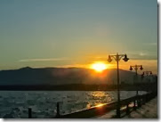 IMG_8025 IMG_8025