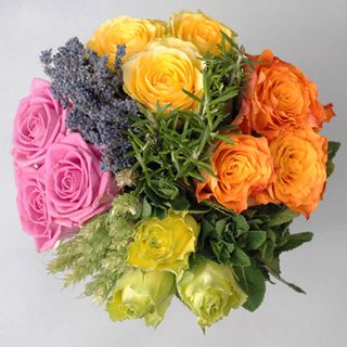 [Olympic%2520Bouquet%255B3%255D.png]