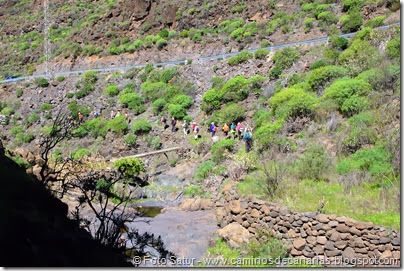 7570 El Aserrador-Vega Acusa(Barranco Carrizal) 7570 El Aserrador-Vega Acusa(Barranco Carrizal)