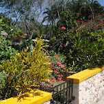  in Chichen Itza, Mexico 