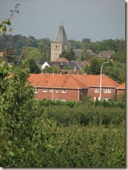 Zicht op de toren van de kerk van Wilderen vanuit Halle-Booienhoven