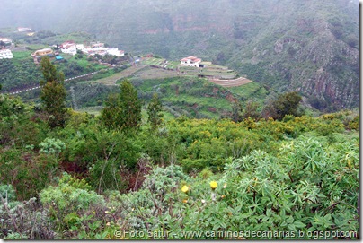 5062 Circular a Firgas-R2 5062 Circular a Firgas-R2
