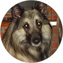 exam exam profielfoto