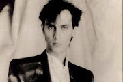 Peter Murphy
