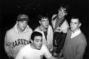 Gorilla Biscuits