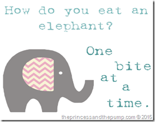 how_do_you_eat_an_elephant2