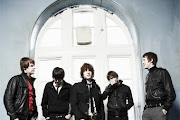 Pigeon Detectives