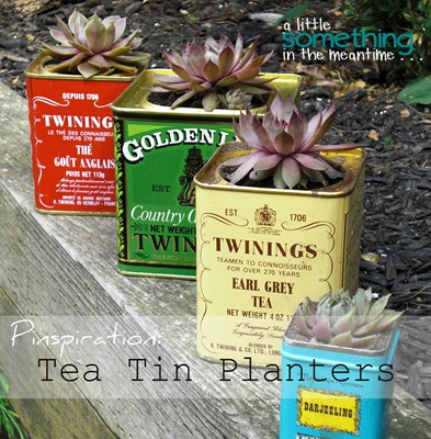 Tea Tin Planters Banner