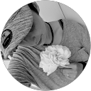 Image Google de Chloe bollecker