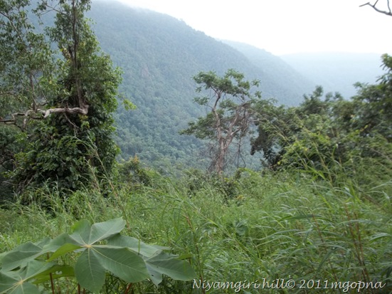 Niyamgiri Hills