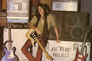 Joe Perry Project