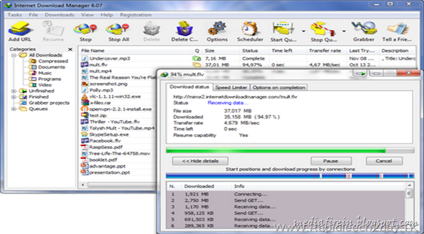 Internet Download Manager 6.07 build 15hk