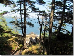Walk from Thunder Hole to Otter Point