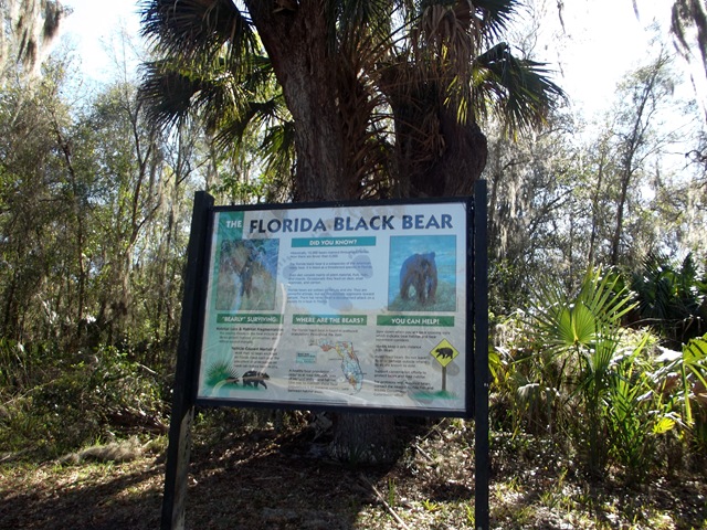 [ManateeandBlackBearTrail0623.jpg]