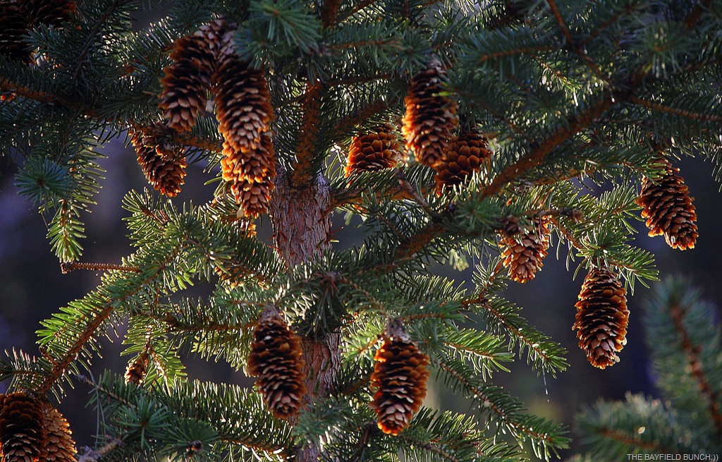 [DSC_6877-1%255B5%255D.jpg]