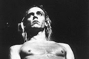 Iggy Pop