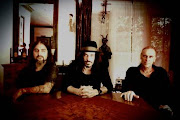 Winery Dogs