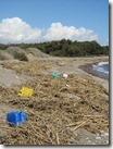 IMG_5644 IMG_5644