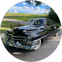 Dan Grauerholz profile picture