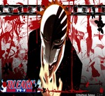 Bleach 17