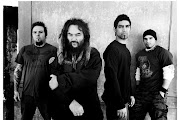 SoulFly