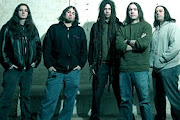 Shadows Fall