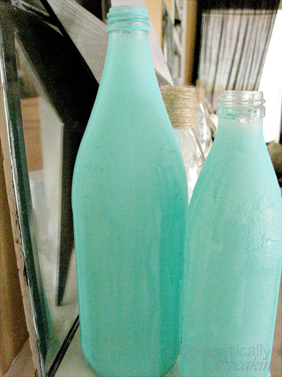 [blue-bottles-14.jpg]