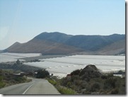 IMG_5707 IMG_5707